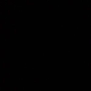 Meet your Posher, Lael